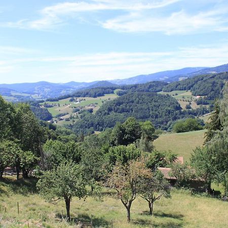 Le Nid Du Kaloui Bed & Breakfast Freland ภายนอก รูปภาพ