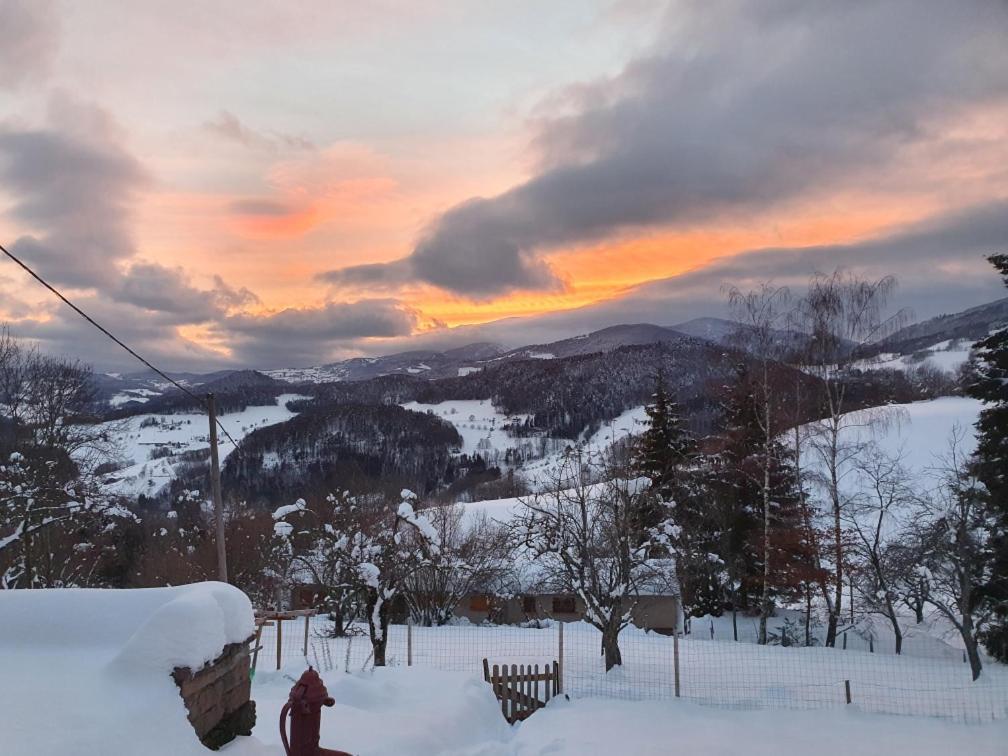 Le Nid Du Kaloui Bed & Breakfast Freland ภายนอก รูปภาพ
