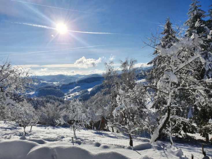 Le Nid Du Kaloui Bed & Breakfast Freland ภายนอก รูปภาพ