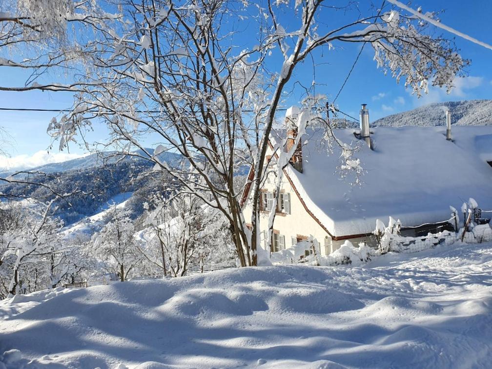 Le Nid Du Kaloui Bed & Breakfast Freland ภายนอก รูปภาพ