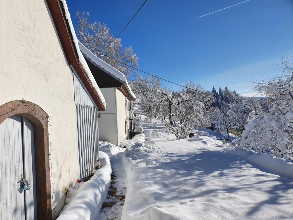 Le Nid Du Kaloui Bed & Breakfast Freland ภายนอก รูปภาพ