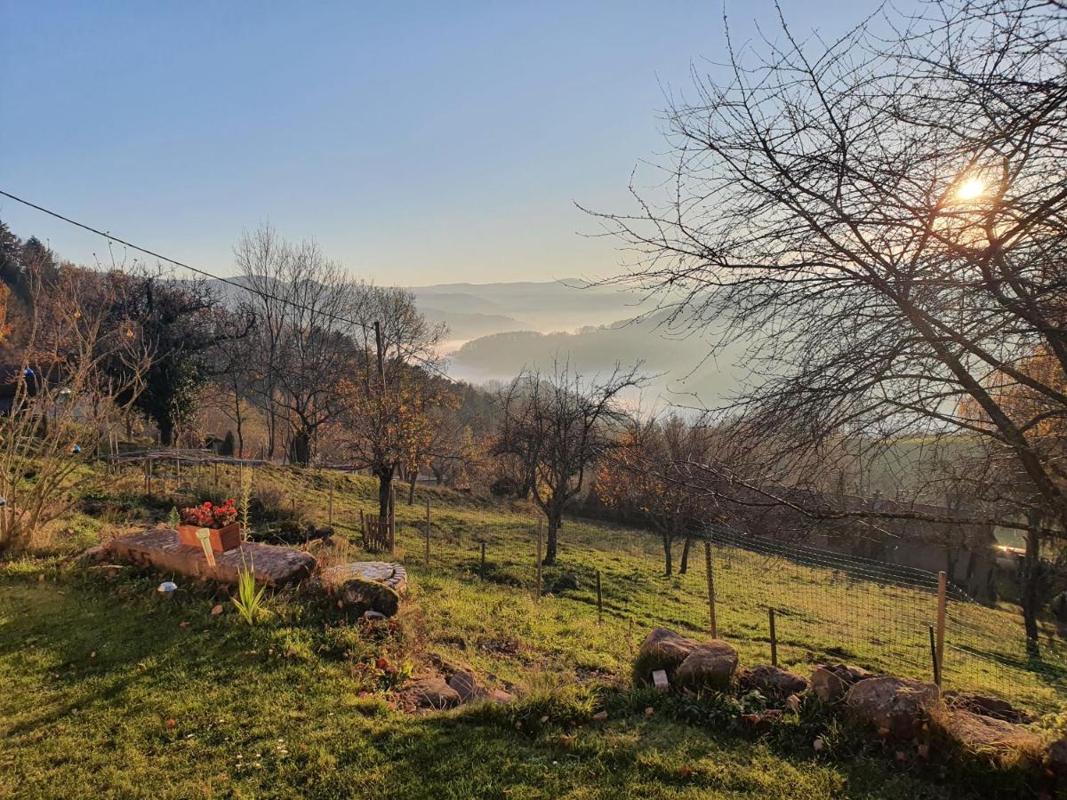 Le Nid Du Kaloui Bed & Breakfast Freland ภายนอก รูปภาพ