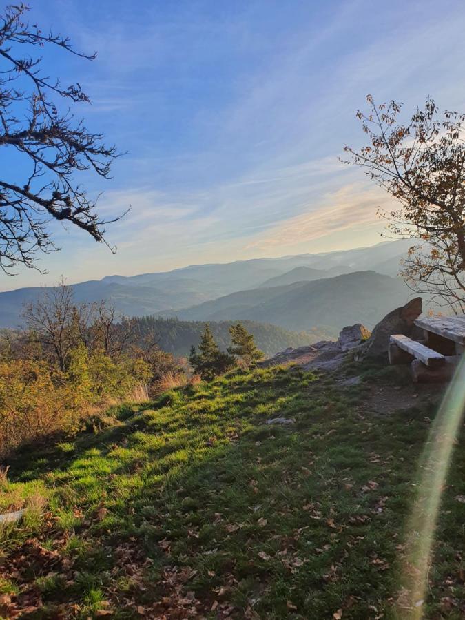 Le Nid Du Kaloui Bed & Breakfast Freland ภายนอก รูปภาพ
