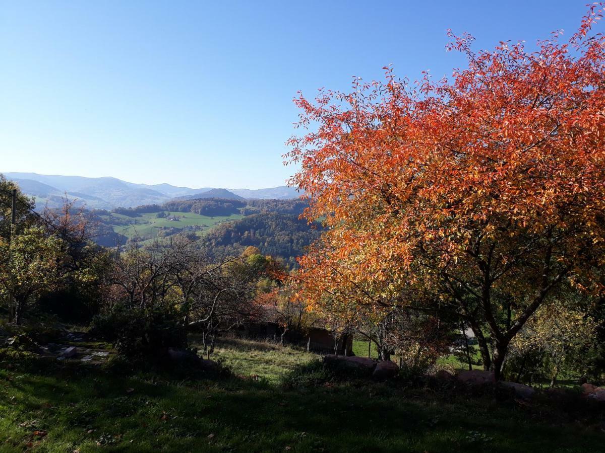 Le Nid Du Kaloui Bed & Breakfast Freland ภายนอก รูปภาพ