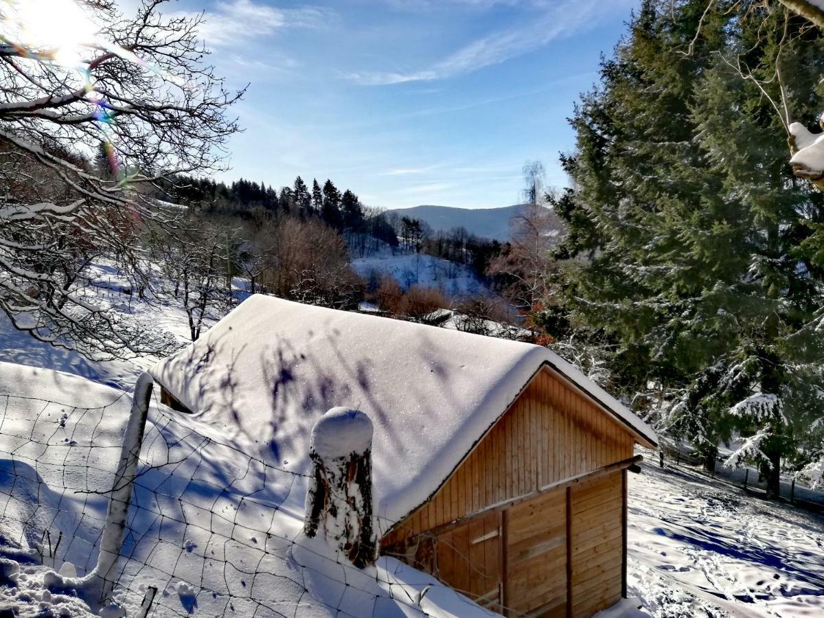 Le Nid Du Kaloui Bed & Breakfast Freland ภายนอก รูปภาพ