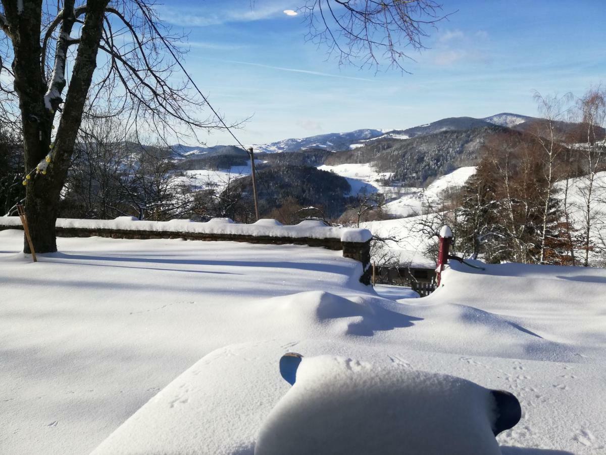 Le Nid Du Kaloui Bed & Breakfast Freland ภายนอก รูปภาพ