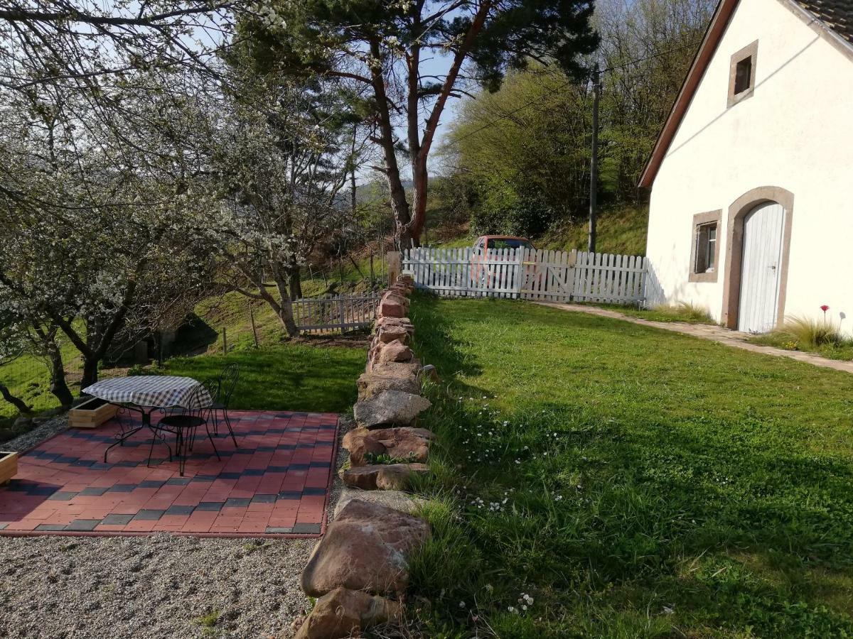 Le Nid Du Kaloui Bed & Breakfast Freland ภายนอก รูปภาพ
