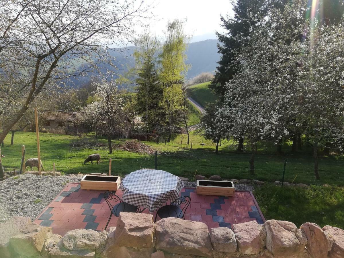 Le Nid Du Kaloui Bed & Breakfast Freland ภายนอก รูปภาพ