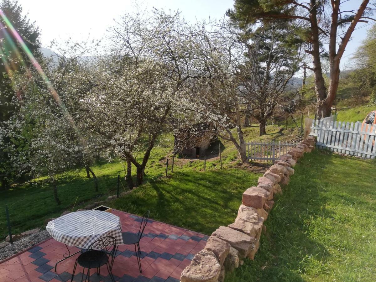 Le Nid Du Kaloui Bed & Breakfast Freland ภายนอก รูปภาพ